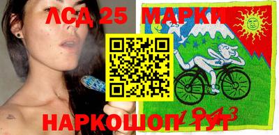шишки Будённовск