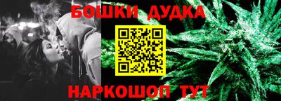 шишки Будённовск